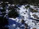 photo thumbnail #13