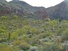 photo thumbnail #6