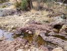 photo thumbnail #15
