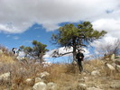 photo thumbnail #9