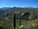 photo thumbnail #5