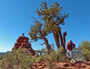 photo thumbnail #10