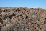 photo thumbnail #15