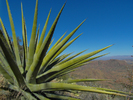 photo thumbnail #6