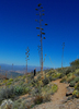 photo thumbnail #9