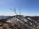 photo thumbnail #11