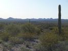 photo thumbnail #3