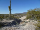 photo thumbnail #7