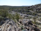 photo thumbnail #12