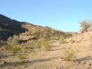 photo thumbnail #1