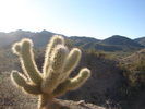photo thumbnail #8