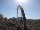 photo thumbnail #14