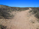 photo thumbnail #5