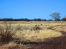 photo thumbnail #14