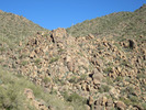 photo thumbnail #1