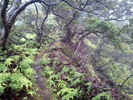 photo thumbnail #14