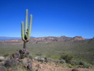 photo thumbnail #4