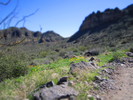 photo thumbnail #5