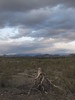 photo thumbnail #1