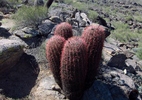 photo thumbnail #6