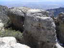 photo thumbnail #12