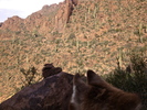 photo thumbnail #2