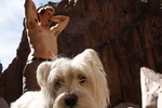 photo thumbnail #2