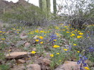 photo thumbnail #1