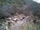 photo thumbnail #5