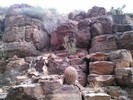 photo thumbnail #8