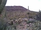 photo thumbnail #10