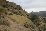 photo thumbnail #7