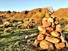 photo thumbnail #2