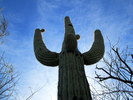 photo thumbnail #4