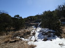 photo thumbnail #9