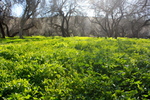 photo thumbnail #12