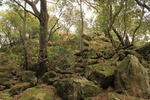photo thumbnail #1