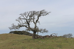 photo thumbnail #12