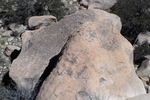 photo thumbnail #2