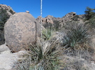 photo thumbnail #4