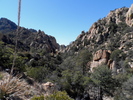 photo thumbnail #5