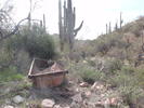 photo thumbnail #1