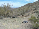 photo thumbnail #7