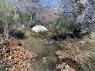 photo thumbnail #8