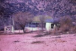 photo thumbnail #3