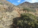 photo thumbnail #11