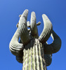photo thumbnail #4