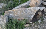 photo thumbnail #5