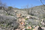 photo thumbnail #10
