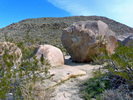 photo thumbnail #9